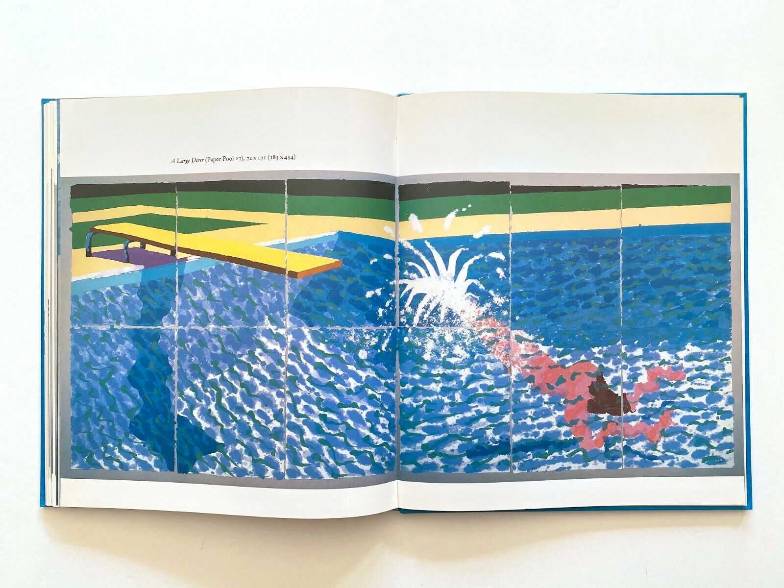 Paper Pools by David Hockney - Fonts In Use