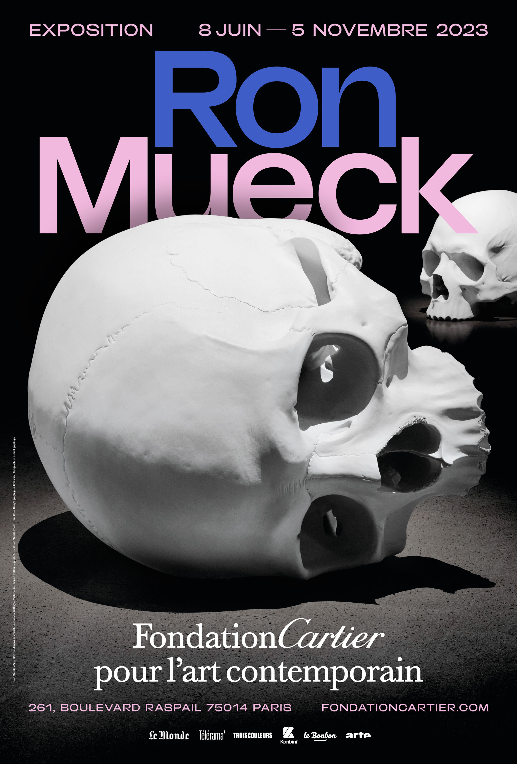 Ron Mueck exhibition, Fondation Cartier - Fonts In Use