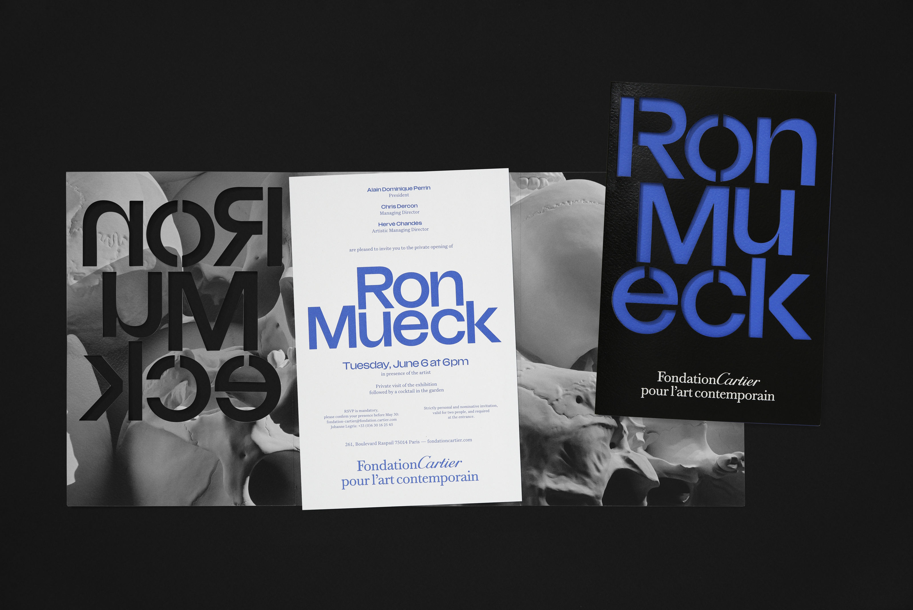 Ron Mueck exhibition, Fondation Cartier - Fonts In Use