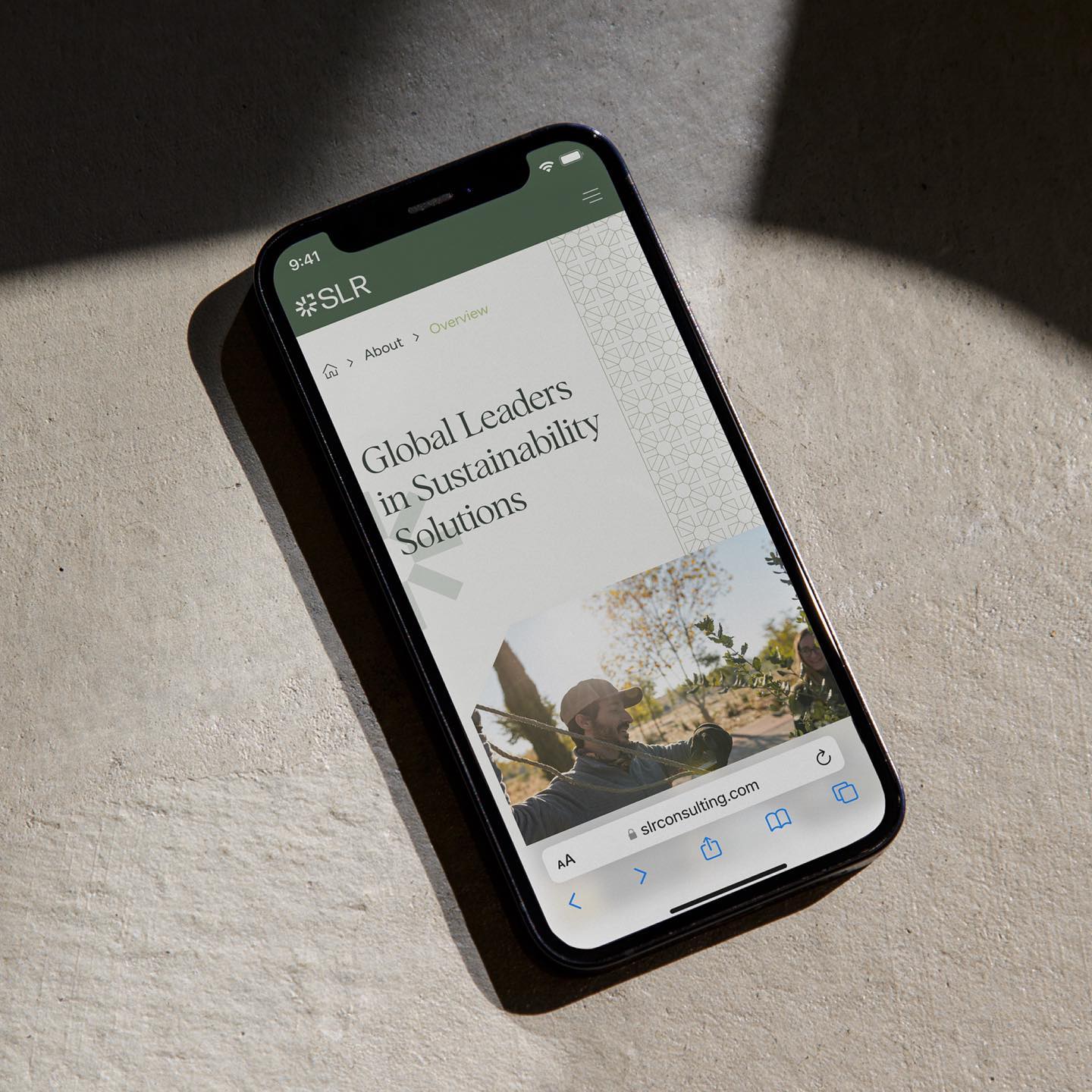 Slr Consulting Fonts In Use