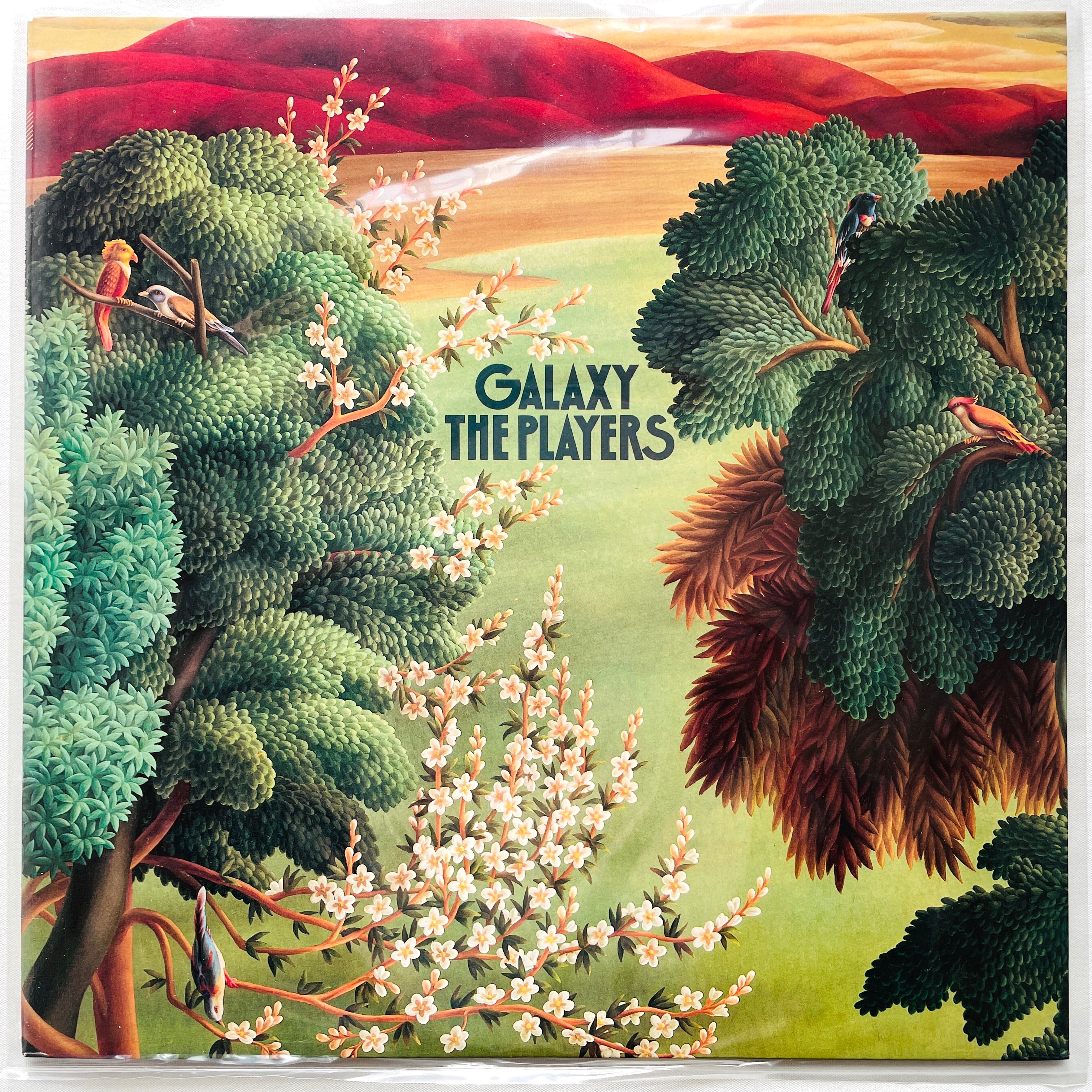 The Players ft. Hiromasa “Colgen” Suzuki – Galaxy album art