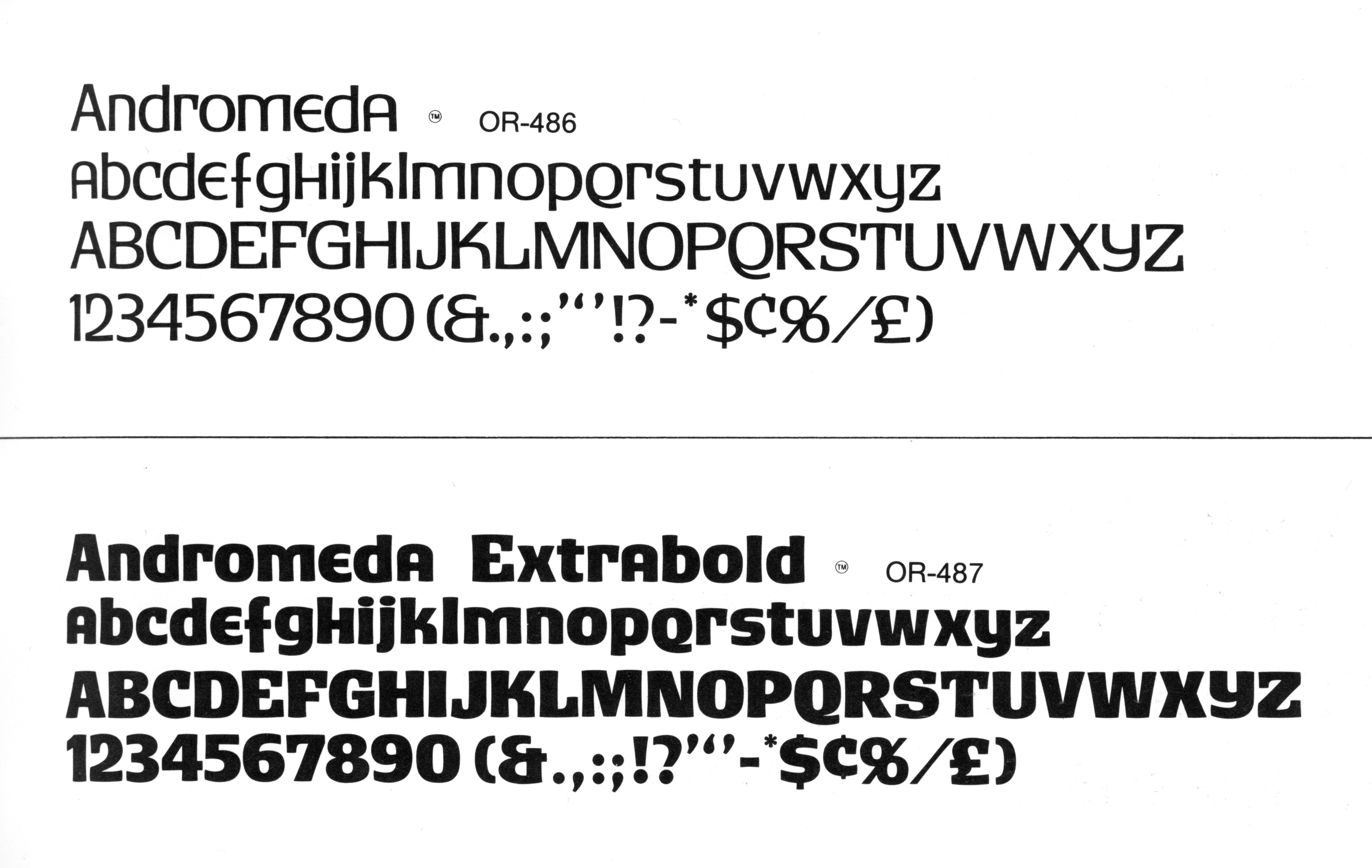 Who can create a wedding bouquet for August 1 in Chicago?, image size:4000x2531